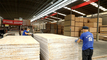 三都:技術創新謀發展 領跑生態板材&ldquo;賽道&rdquo;