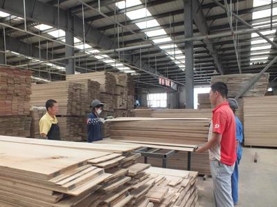 木業(yè)企業(yè)的樂(lè)園-企業(yè),木業(yè),林木,干燥,生產(chǎn),-綏芬河站