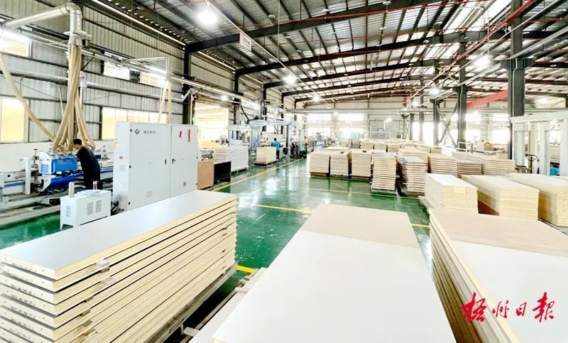 政策加力支持 服務精準滴灌|梧州市積極推動外貿(mào)高質(zhì)量發(fā)展