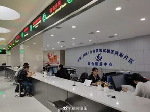 開(kāi)放新格局 發(fā)展新畫(huà)卷